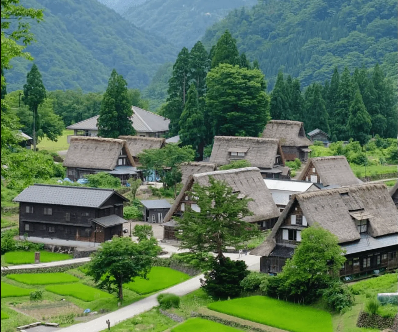 壯麗火山與自然奇景