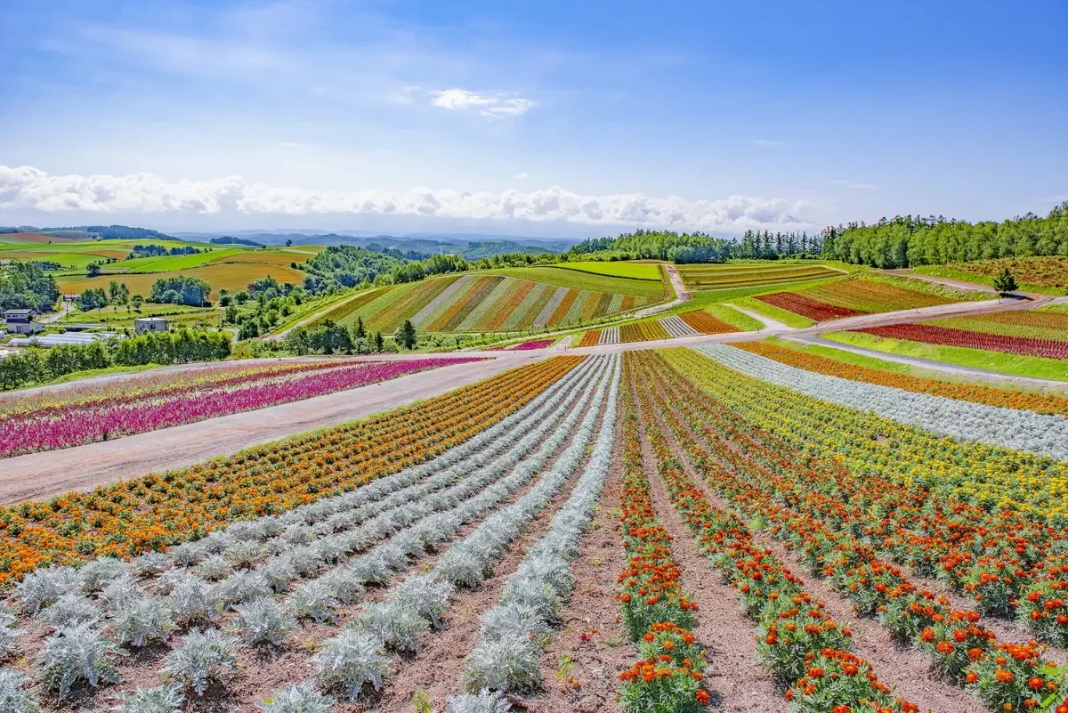 La Vista 富士河口湖南法城堡景觀旅宿