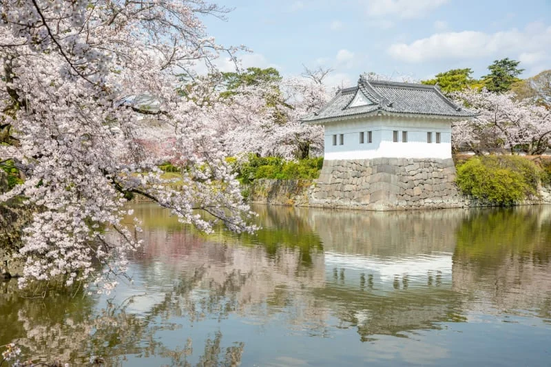 【加賀・4 日】星野界 2 晚 ✕ 名園美學｜白川鄉世界遺產