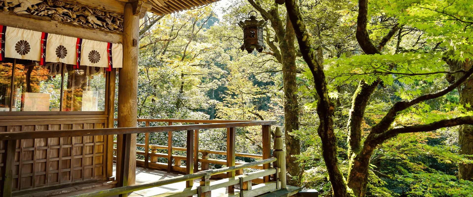 雪舞北海道5日：星野TOMAMU與流冰破冰船