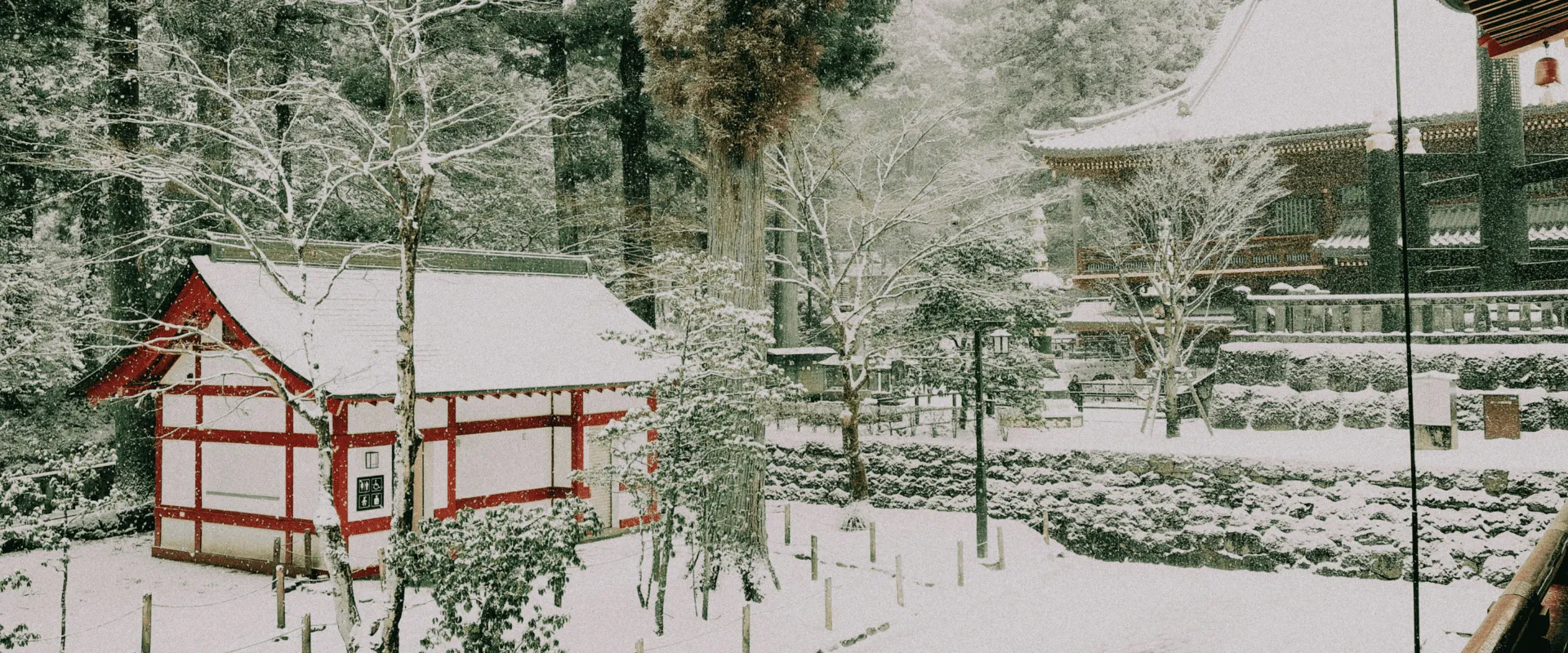 魅力北海道6日－函館星空夜景、熊牧場、企鵝遊行