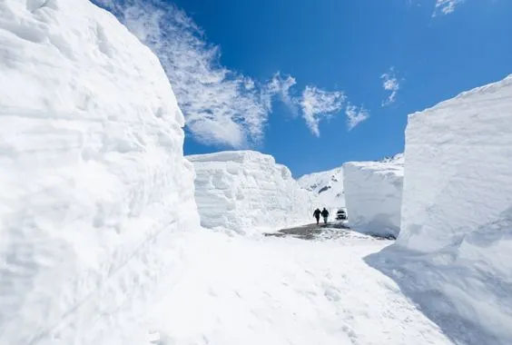 北陸黑部立山雪牆紫藤名古屋東京6日