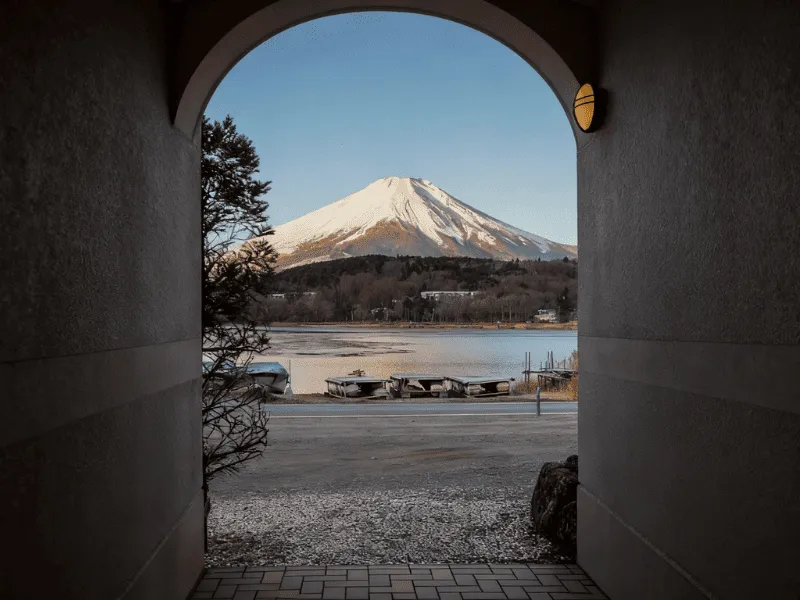 旭川動物園：超人氣極地生物
