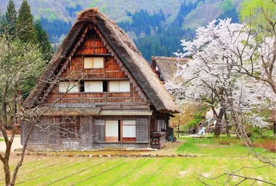 【遺產時光】穿越合掌村，探尋山間的寧靜美學