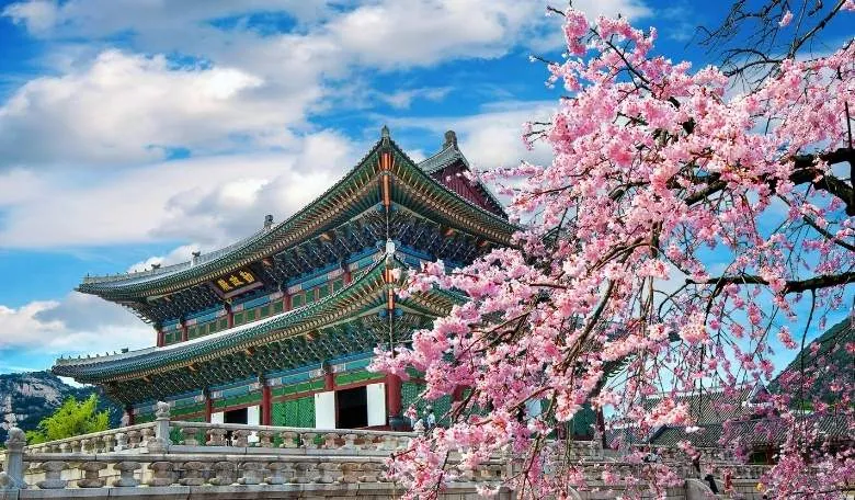 【日韓雙城．雲感海陸】釜山雲端膠囊、新山茶花號夜航與北九州水鄉慢活七日紀行