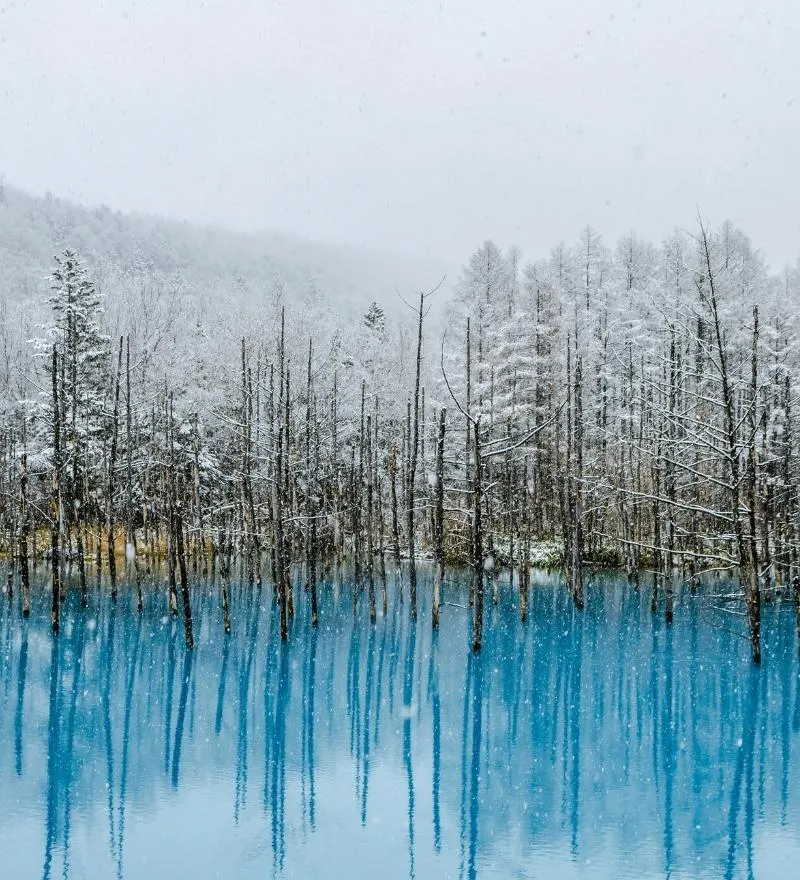 走進北陸秘境之旅Discover Hokuriku Hidden Journey