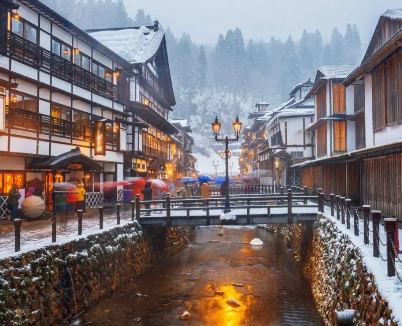 東北 ・ 森之秘語